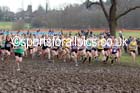 Start of the of the under-15 girls Inter Counties Cross Country, Cofton Park, Birmingham. Photo: David T. Hewitson/Sports for All Pics